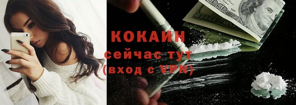 PSILOCYBIN Киренск