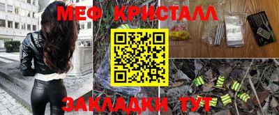 прущие грибы Краснознаменск