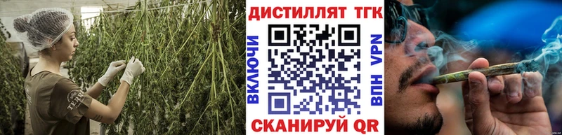 ТГК концентрат Кимры