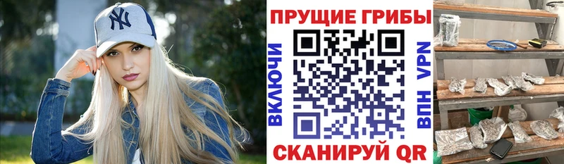закладка  мега tor  Псилоцибиновые грибы мухоморы  Кимры 